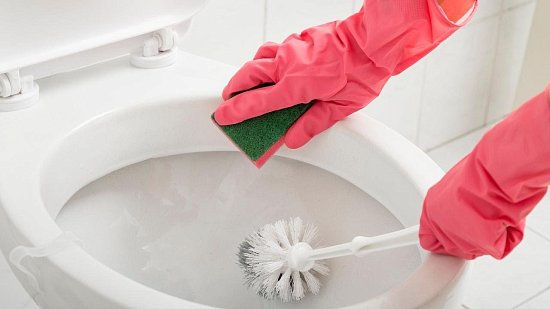 Как почистить ершик для унитаза, как часто это нужно делать