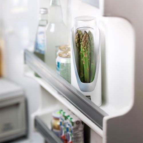 Как хранить зелень в холодильнике: простые способы