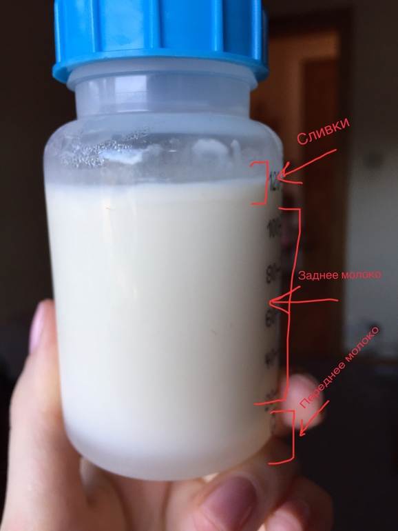Как повысить жирность грудного молока? | уроки для мам