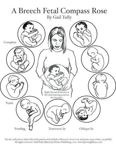 Положение ребёнка в животе. головное и тазовое предлежание плода