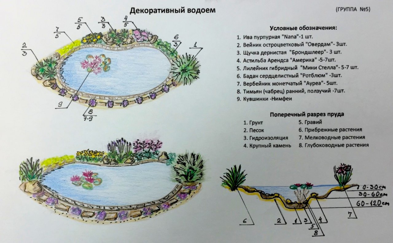 Эскиз пруда на участке