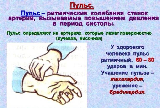 Как уменьшить сердцебиение