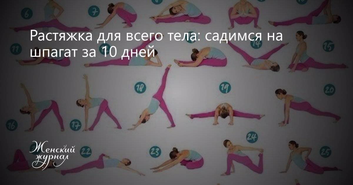 Шпагат за 30 дней приложение