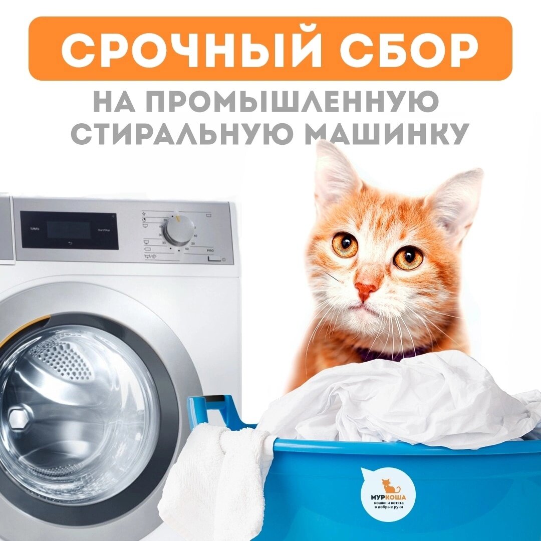 Что будет если постирать банковскую карту с чипом в стиральной машине и будет ли она теперь работать