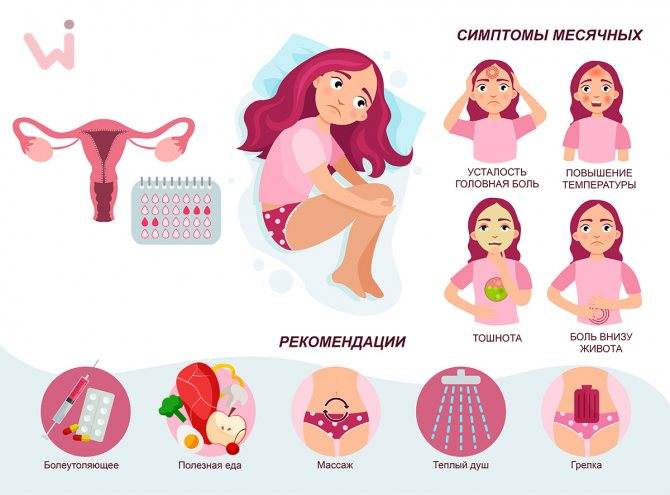Как посчитать менструальный цикл, календарь расчета месячных