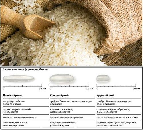 Как сварить рис рассыпчатым – правильные рецепты приготовления
