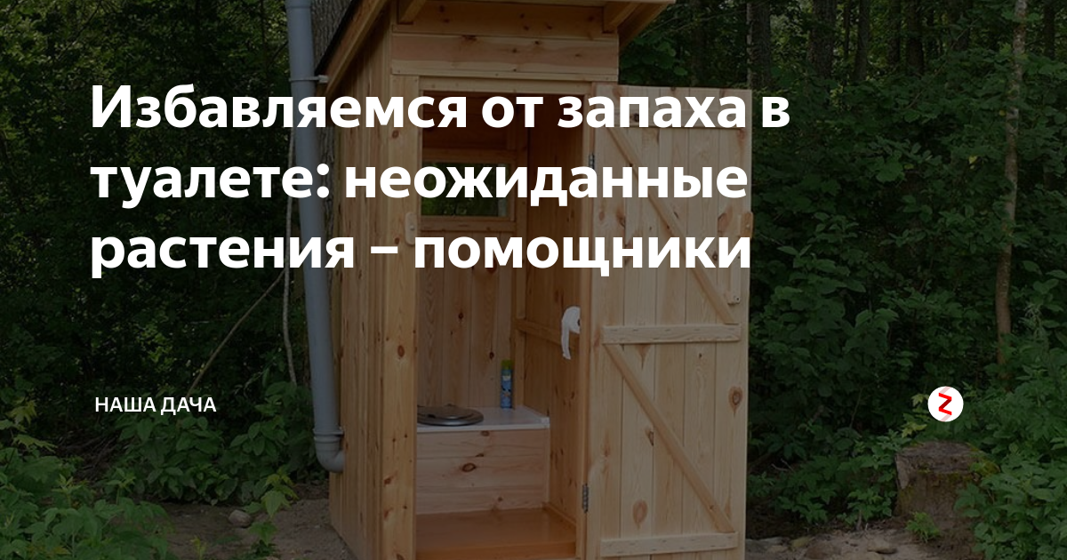 Как убрать запах из унитаза народными средствами
