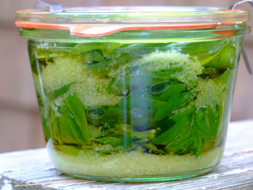 Как хранить базилик в домашних условиях: где хранить базилик свежий, сколько хранится в холодильнике