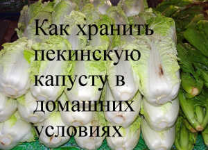 Сколько хранится пекинская капуста в холодильнике: как сберечь китайский салат свежим в домашних условиях, а также можно ли замораживать заготовку для голубцов? русский фермер