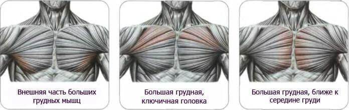 Как накачать внутреннюю часть грудных мышц: топ-7 упражнений
