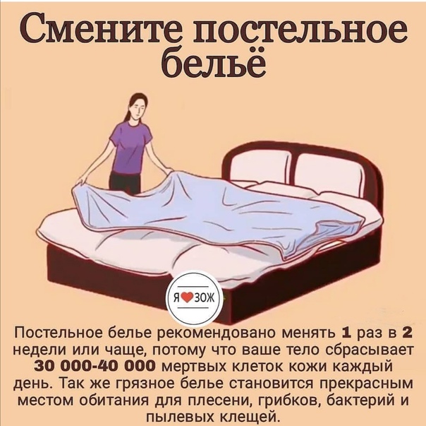 Как часто надо менять подушки для сна. как часто менять подушки